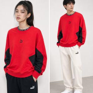 PUMA TFS Logo, Casual Sports Pullover 'RED' - (Large)